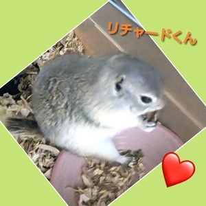「最近のリチャードくんは…」🎵