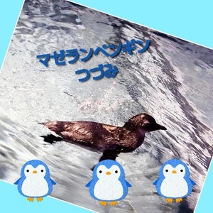 「水嫌いのペンギンが…」🎵