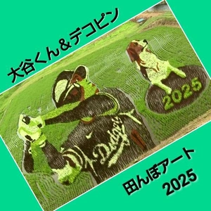 「今年も田んぼアートが…」🎵
