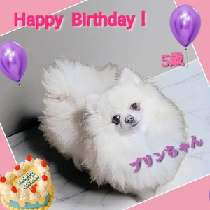 「Happy  Birthday🎵」