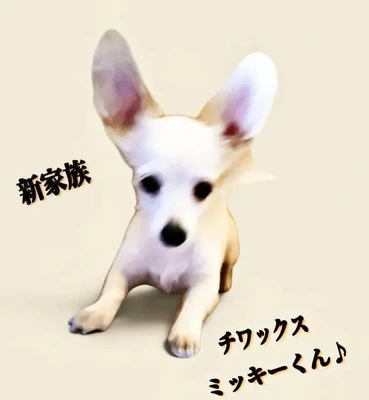 「新家族 お披露目」🎵