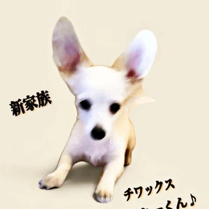 「新家族 お披露目」🎵
