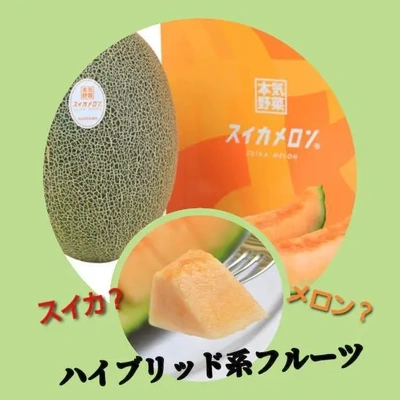 「ハイブリッド系フルーツ」🎵