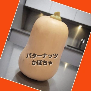 「秋の気配を感じるようになってきた」❗️