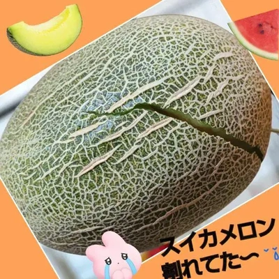 「見事な割れっぷり…」！