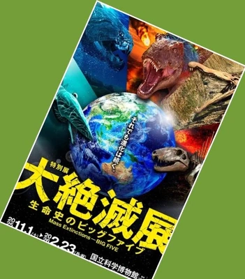 「11月に特別展」🎵