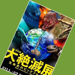 「11月に特別展」🎵
