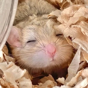 「会いたくて会いにいったけど…」