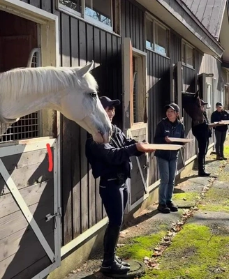 「ノーザンホースカップ開催」🎵