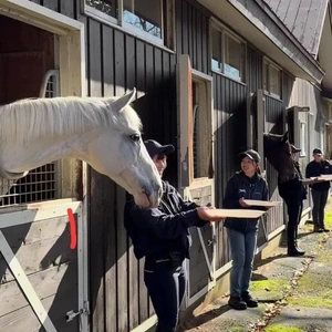 「ノーザンホースカップ開催」🎵