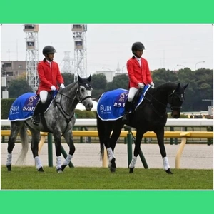 「誘導馬デビュー」🎵