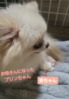 「今年1番となるハプニング」‼️