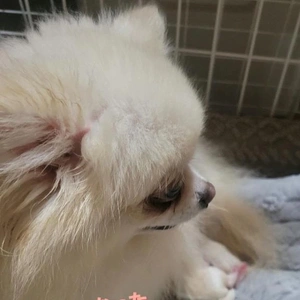 「今年1番となるハプニング」‼️