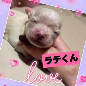 「順調に すくすくと 育ってる」🎵