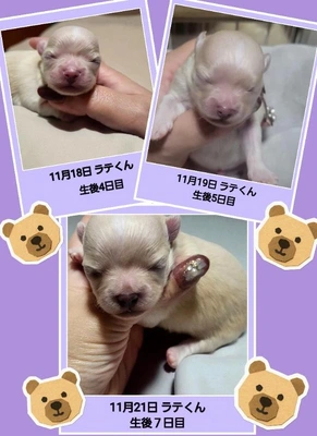 「健康優良児」🎵