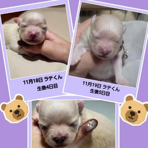 「健康優良児」🎵