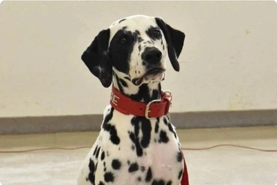 「新潟初」❗️