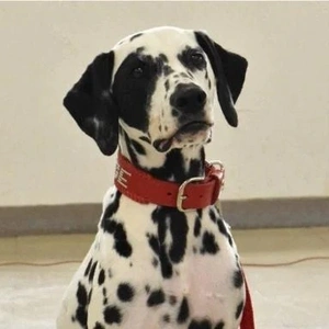 「新潟初」❗️