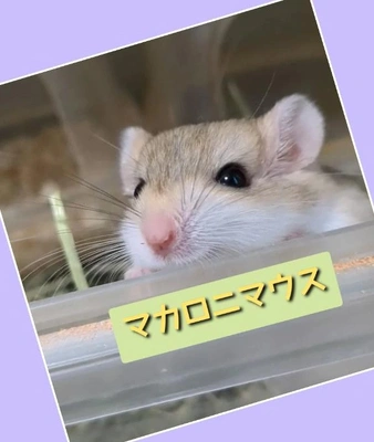 「やっと会えた」❗️