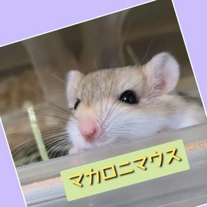 「やっと会えた」❗️