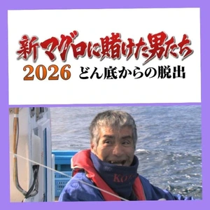 「マグロ番組見なきゃ、1年が終わらないし始まらないの…」❗️