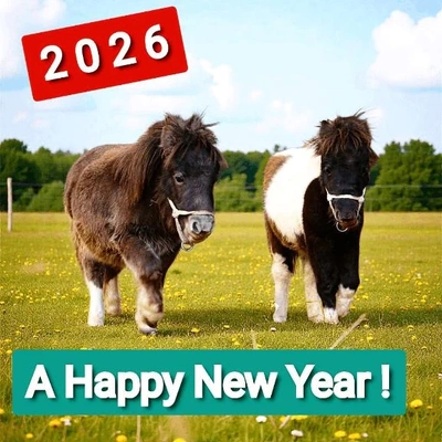 「明日から」🎵