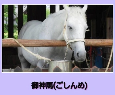 「馬年だから…？！」