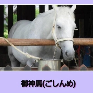 「馬年だから…？！」