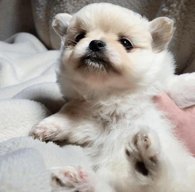 「ラテくん、初めての…」❗️