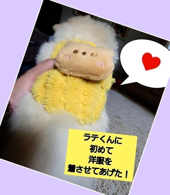 「初めての…」🎵