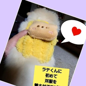 「初めての…」🎵