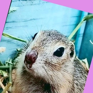 「全部が揃わなかった〜」❗️