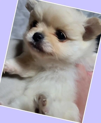 「寒いから…」