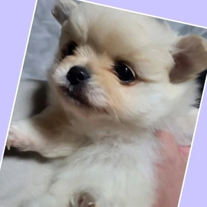 「寒いから…」