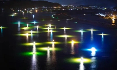 「白いダイヤを求めて…」🎵