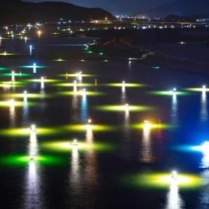 「白いダイヤを求めて…」🎵