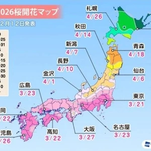 「桜の開花予想出た」❗️