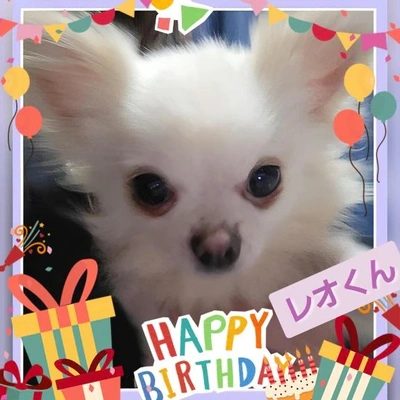 「Happy Birthday❗️」