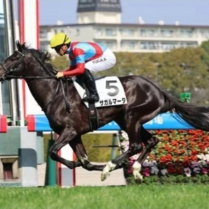 「狙いはダービー」？！