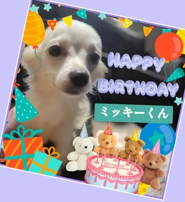 「Happy Birthday 1歳」❗️