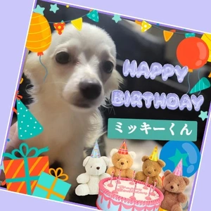 「Happy Birthday　1歳」❗️