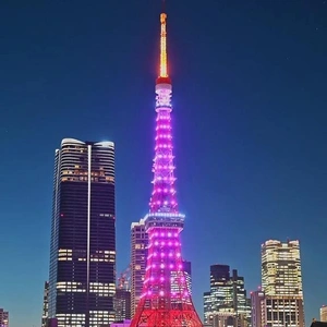 「桜開花宣言」！