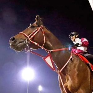 「騎手、調教師共にドバイ入り〜」🎵