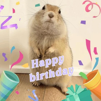 「HAPPY BIRTHDAY」🎵