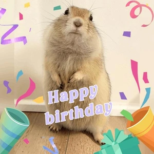 「HAPPY BIRTHDAY」🎵