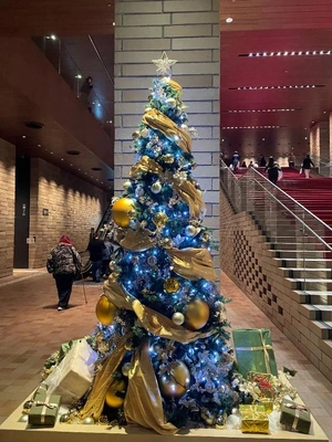 今夜から復活します！