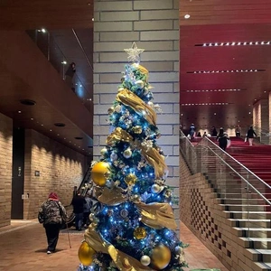 今夜から復活します！