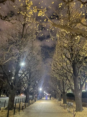 次回11日木曜日から。