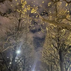 次回11日木曜日から。