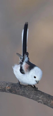 電車が止まっちゃった